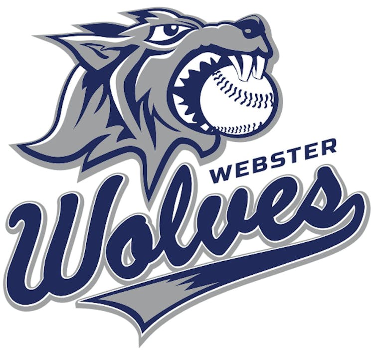 Webster Wolves 10U Travel Team