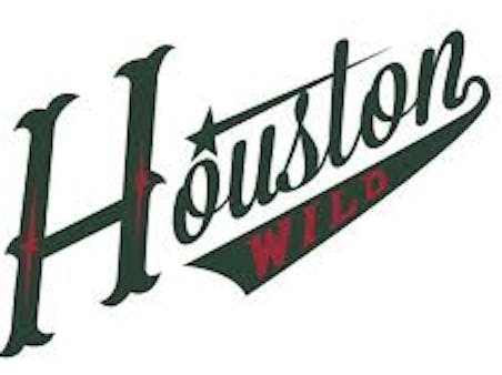 Houston Wild 2019/20 14UAA (LaBrosse)