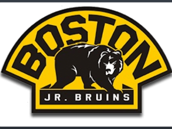 2017-2018 Boston Junior Bruins Pee Wee Major