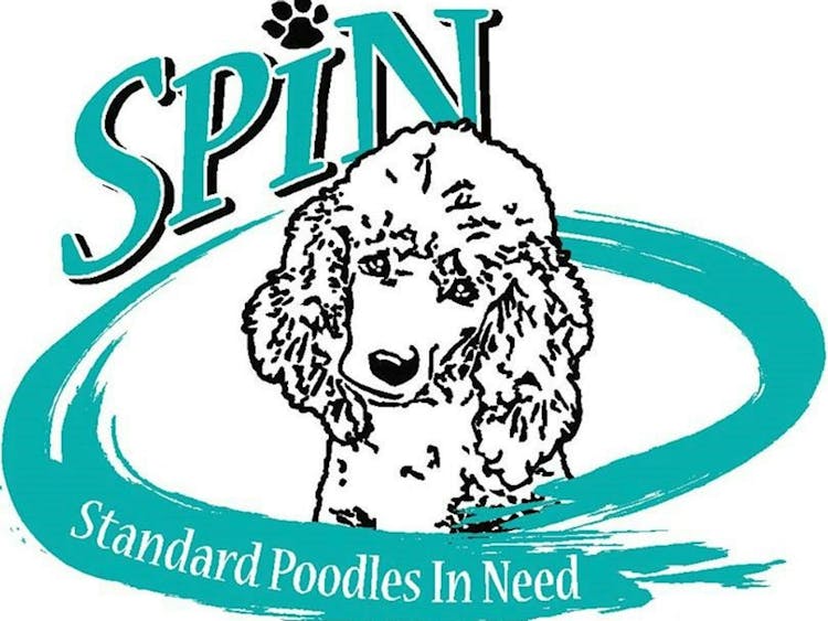 Standard Poodles in Need