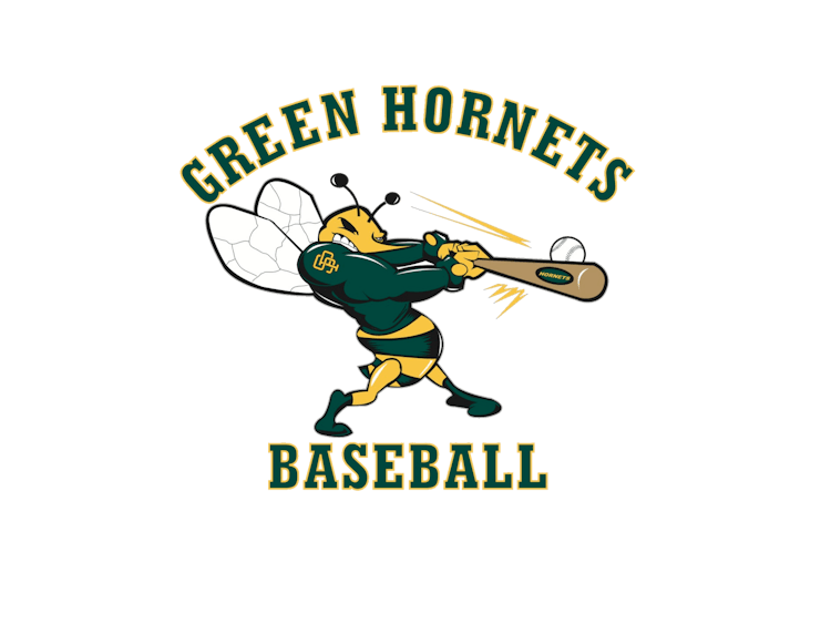 Severna Park Green Hornets 14U Travel Baseball