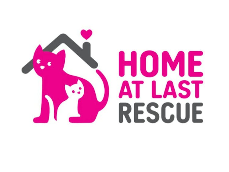 Home At Last Rescue