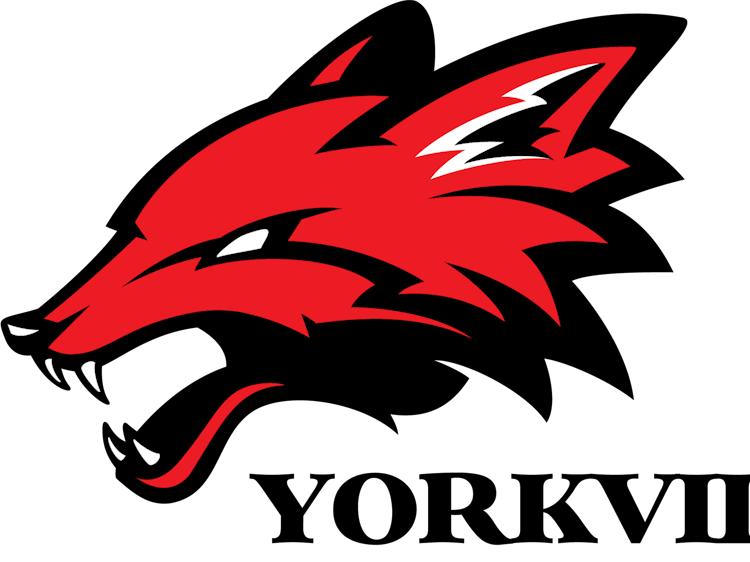 2022 14U Yorkville Foxes