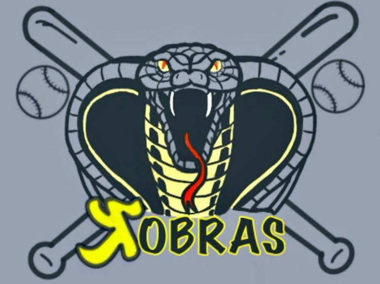 Kobras 