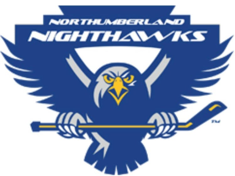 Northumberland Nighthawks U10