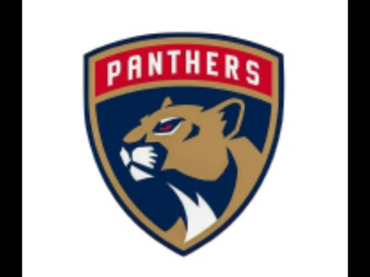 Sun County Panthers 2007’s U15