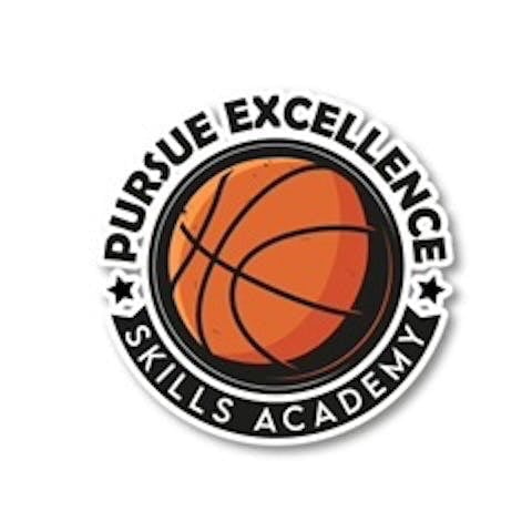 Pursue Excellence Skills Academy 