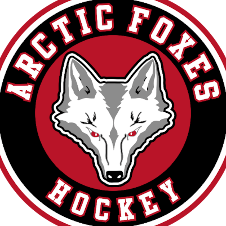 Arctic Foxes 10U Girls