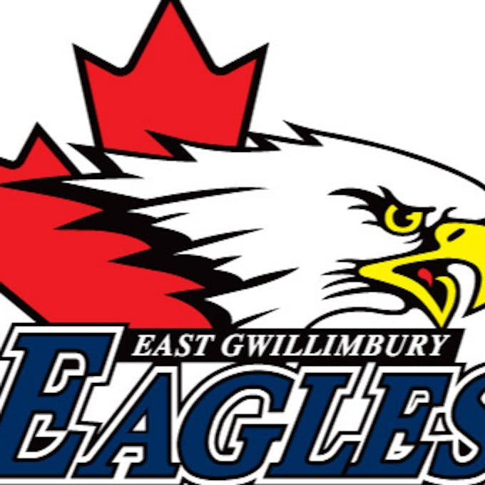 East Gwillimbury Eagles U13 AA Hockey Team