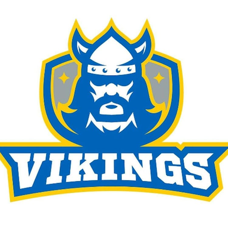 Vikings 2015 Spring team