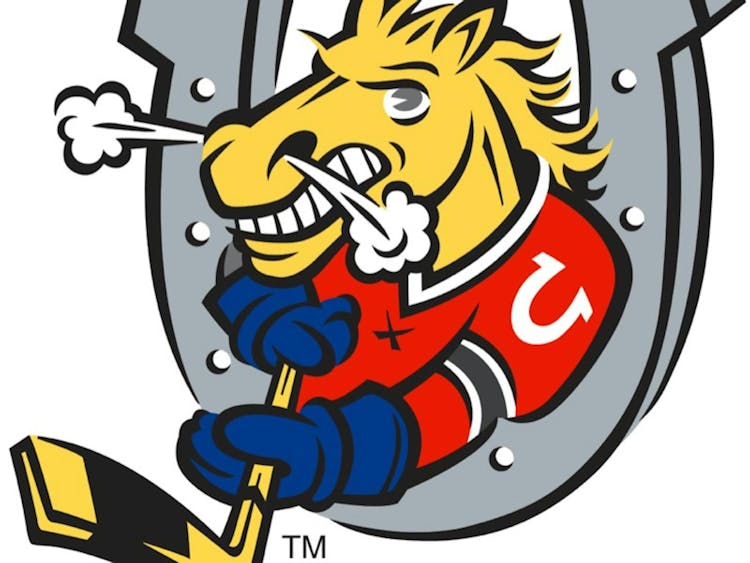 Barrie Colts U8 MD